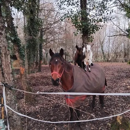 De Vacance Perigord Dom wakacyjny *