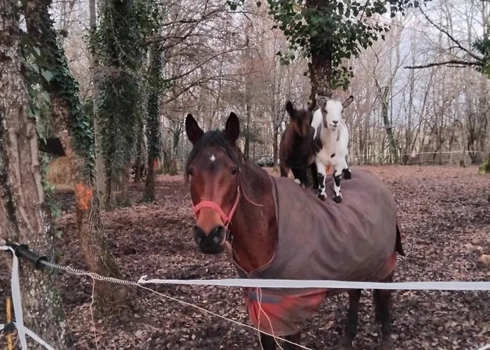 De Vacance Perigord Ferienhaus *